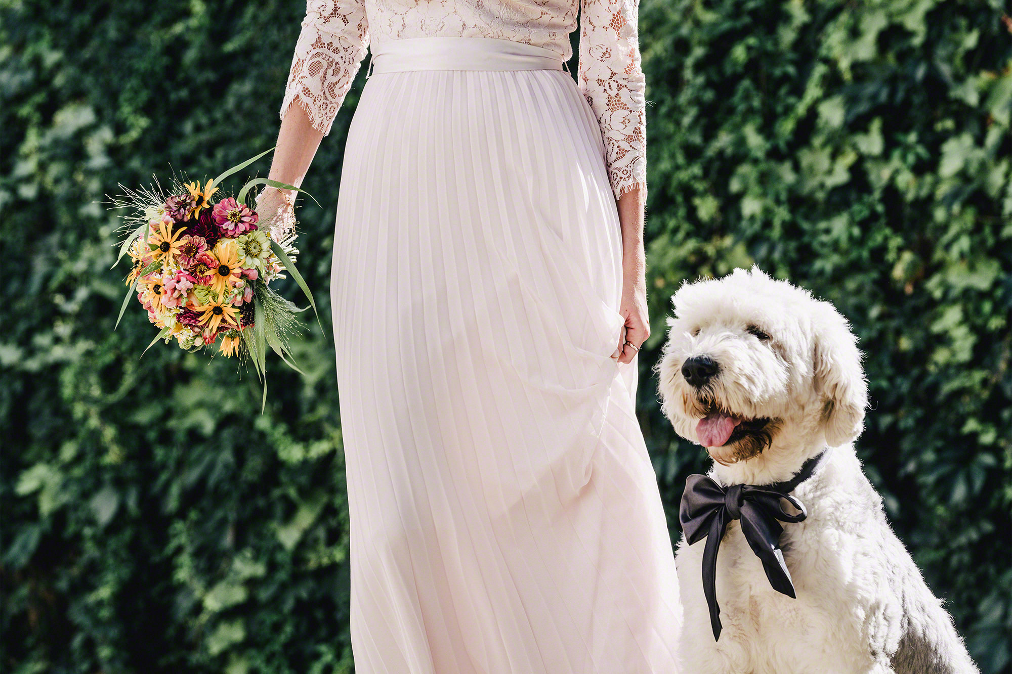 Hochzeit Braut Hund